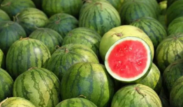 世界各地吃瓜爆料视频,短视频时代的全民娱乐盛宴