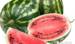 9-11爆料吃瓜,揭秘吃瓜群众的爆料与猜测